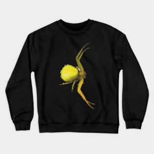 Yellow Crab Spider Crewneck Sweatshirt